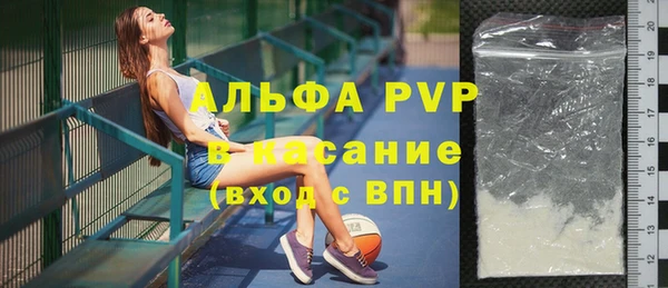 индика Алексин