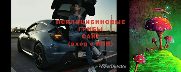соль ск Алзамай
